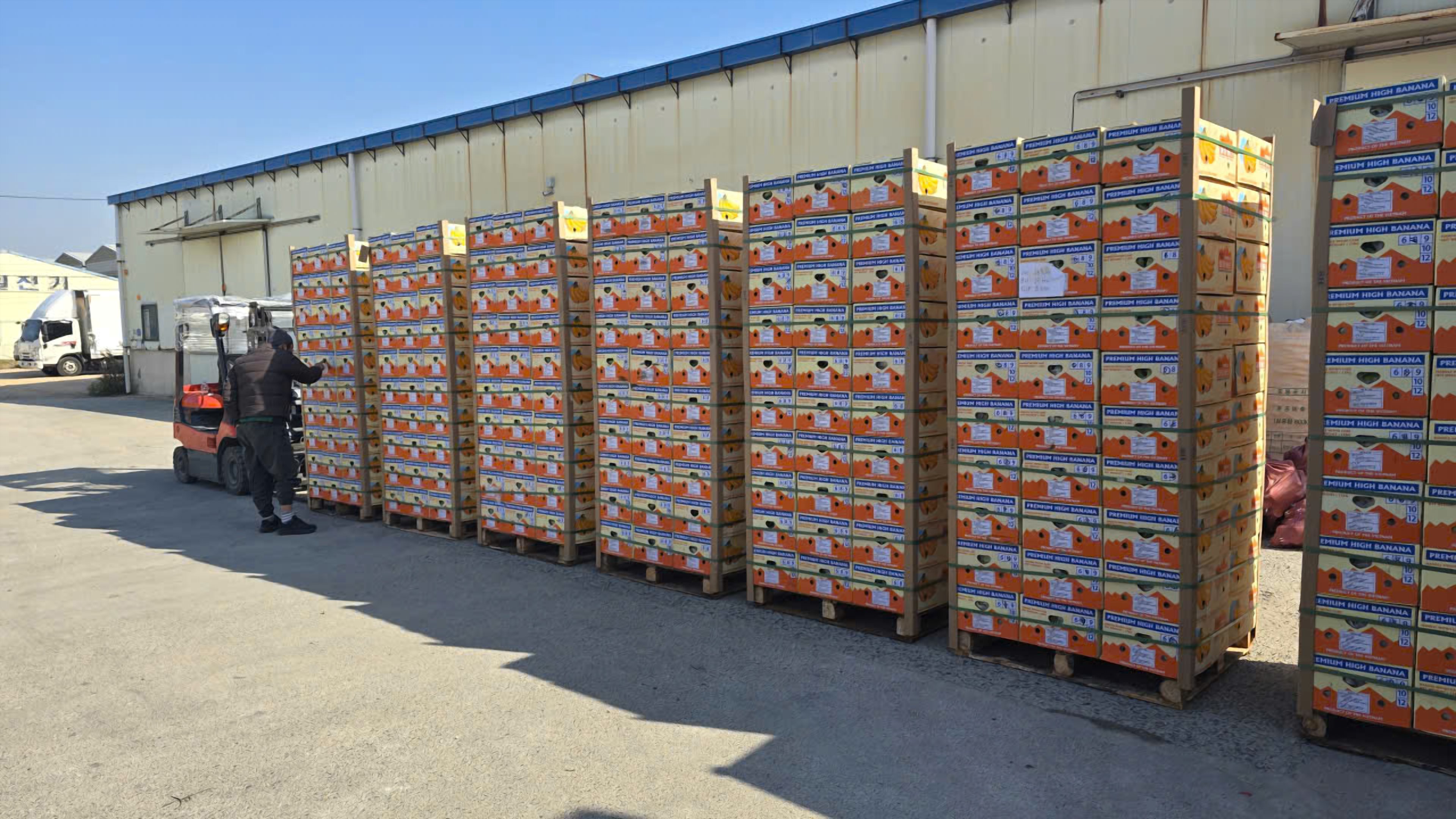 Bốc xếp hàng lên xe chuẩn bị xuất khẩu