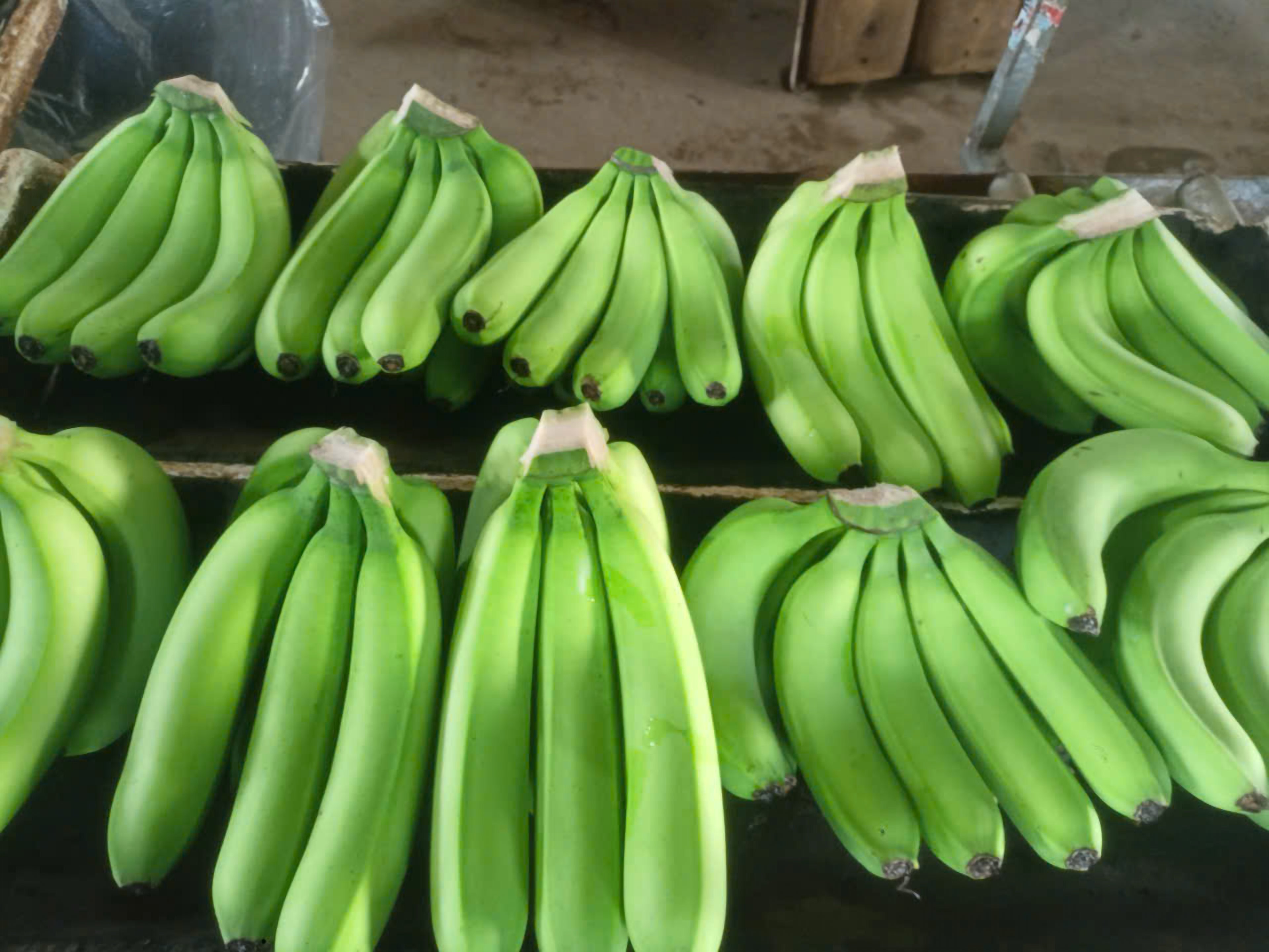 Các thùng hàng chuẩn bị giao